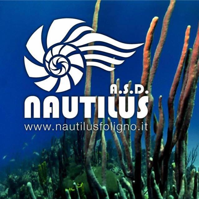 Nautilus